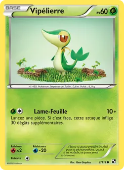 Vipélierre 2