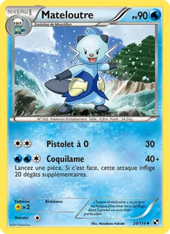 Mateloutre 29