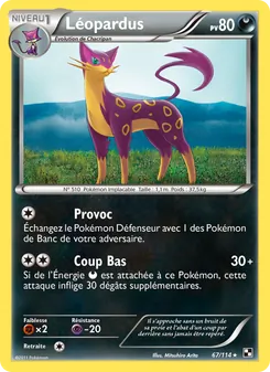 Léopardus 67