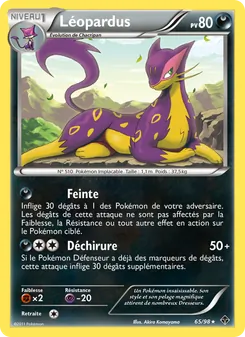Léopardus 65