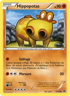 Hippopotas 65
