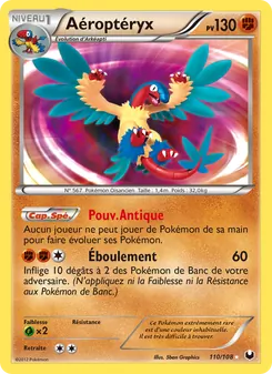 Aéroptéryx 110