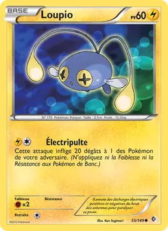 Loupio 55