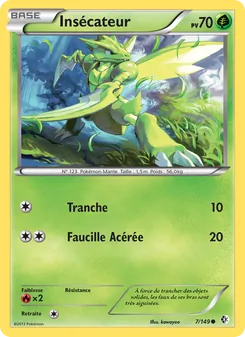 Insécateur 7