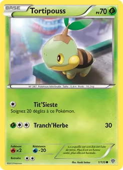 Tortipouss 1