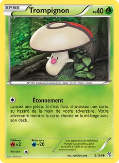 Trompignon 12