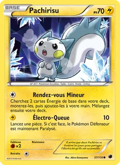 Pachirisu 37