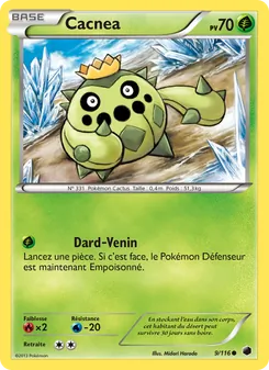 Cacnea 9