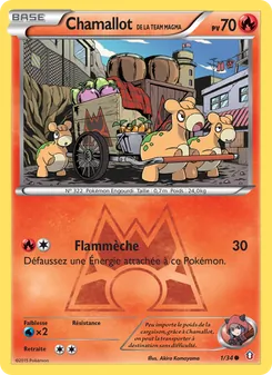 Chamallot de la Team Magma 1