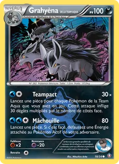 Grahyèna de la Team Aqua 18