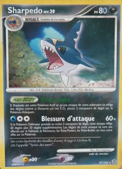 Sharpedo 37