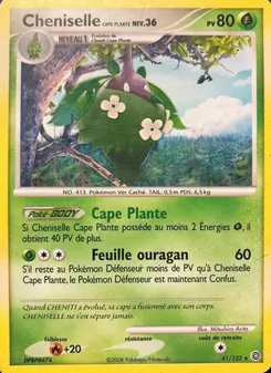 Cheniselle Cape Plante 41