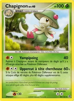Chapignon 45