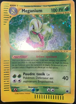 Meganium 18
