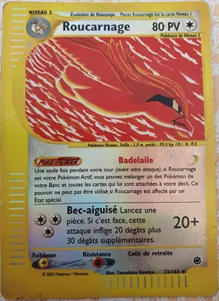 Roucarnage 23