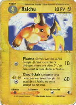 Raichu 61