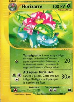 Florizarre 67