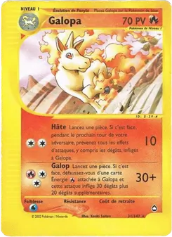 Galopa 31