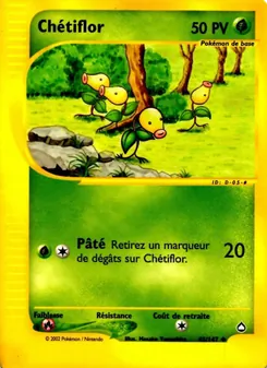 Chétiflor 45