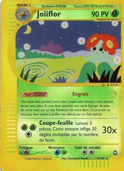 Joliflor 5