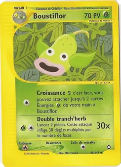 Boustiflor 65