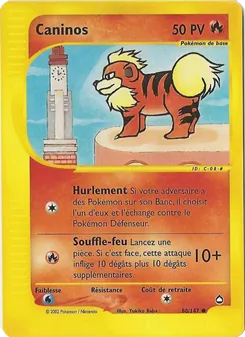 Caninos 80