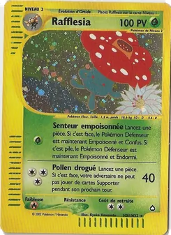 Rafflesia 31