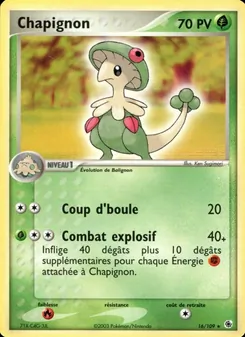 Chapignon 16