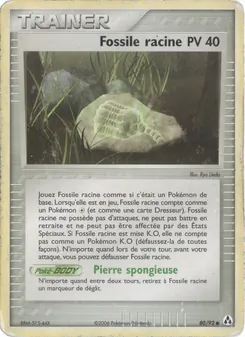 Fossile racine 80