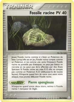 Fossile racine 93