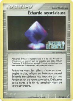 Écharde mystérieuse 81