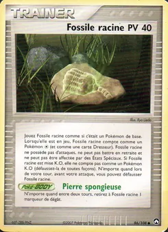 Fossile racine 86