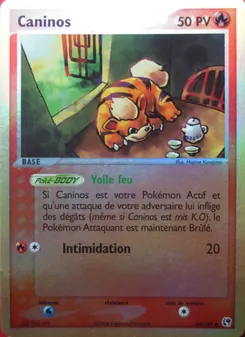 Caninos 65