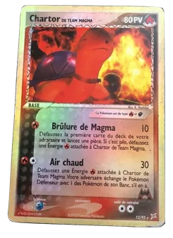 Chartor de Team Magma 12
