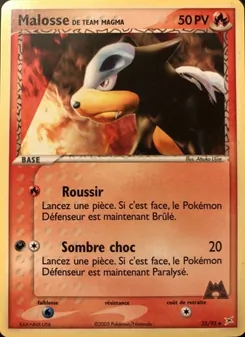 Malosse de Team Magma 35