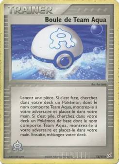 Boule de Team Aqua 75