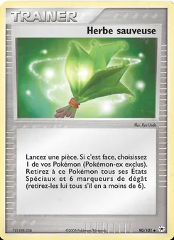 Herbe sauveuse 90