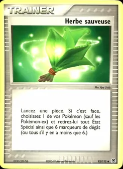 Herbe sauveuse 93