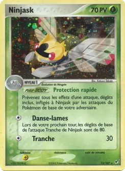 Ninjask 13