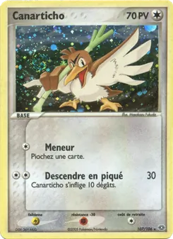 Canarticho 107