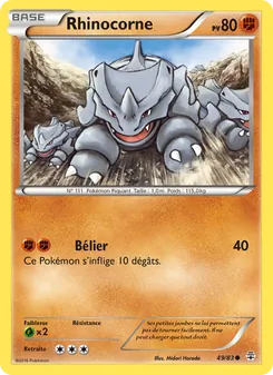 Rhinocorne 49