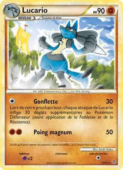 Lucario 19