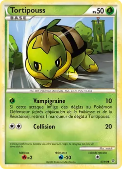 Tortipouss 67
