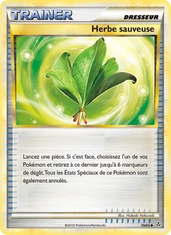 Herbe sauveuse 79