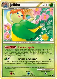 Joliflor 1