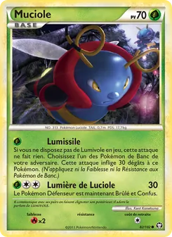 Muciole 82