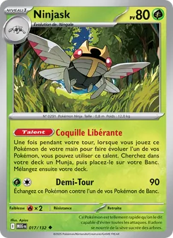 Ninjask 17