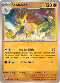 Sablaireau 69