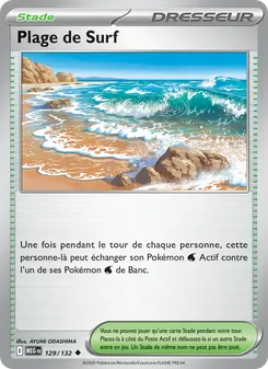 Plage de Surf 129