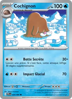 Cochignon 24